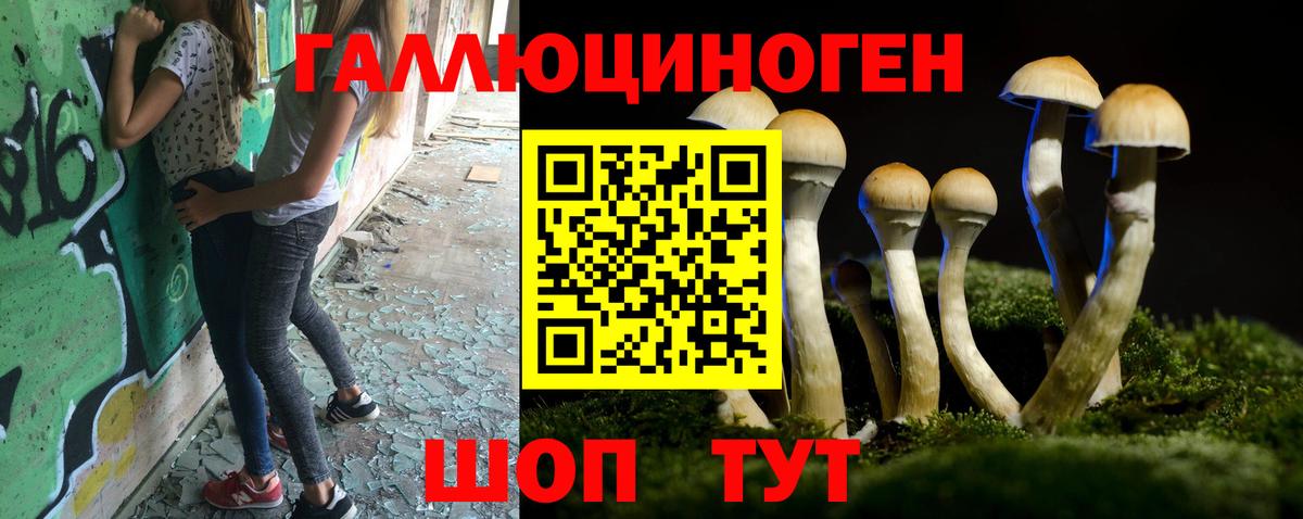 Псилоцибиновые грибы ЛСД  Вход с VPN  Медногорск 